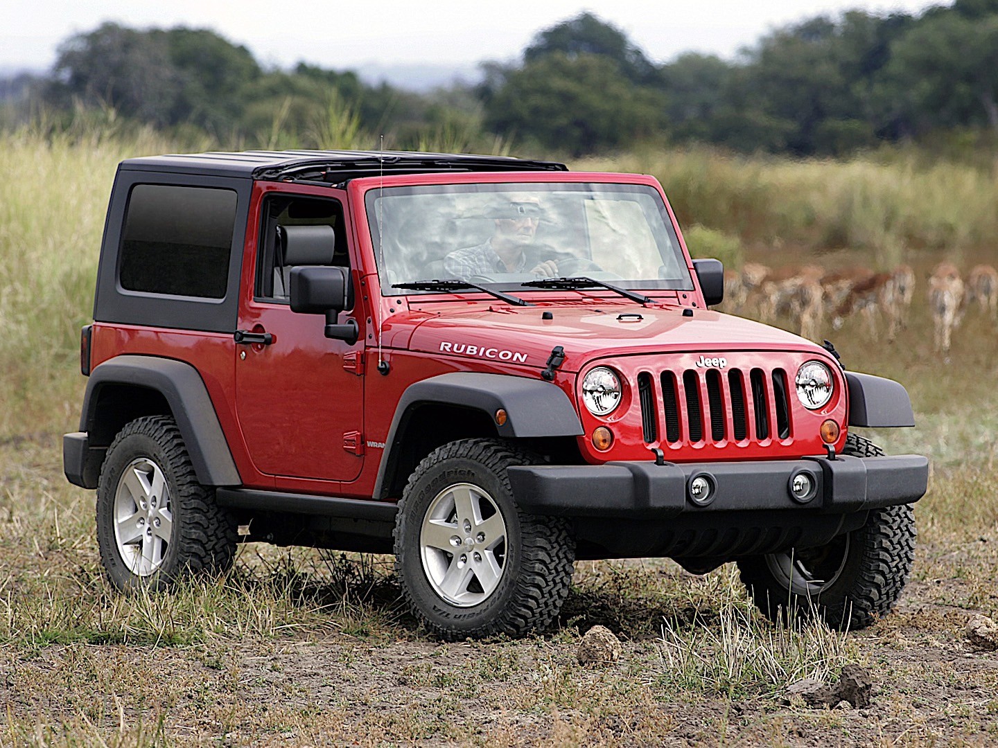 Jeep Wrangler photo 28