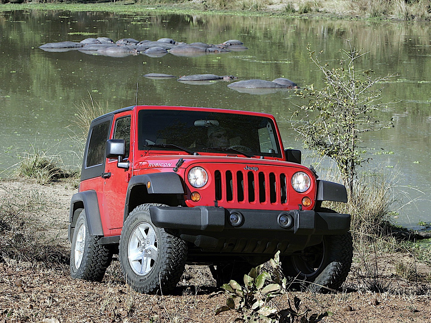 Jeep Wrangler photo 42