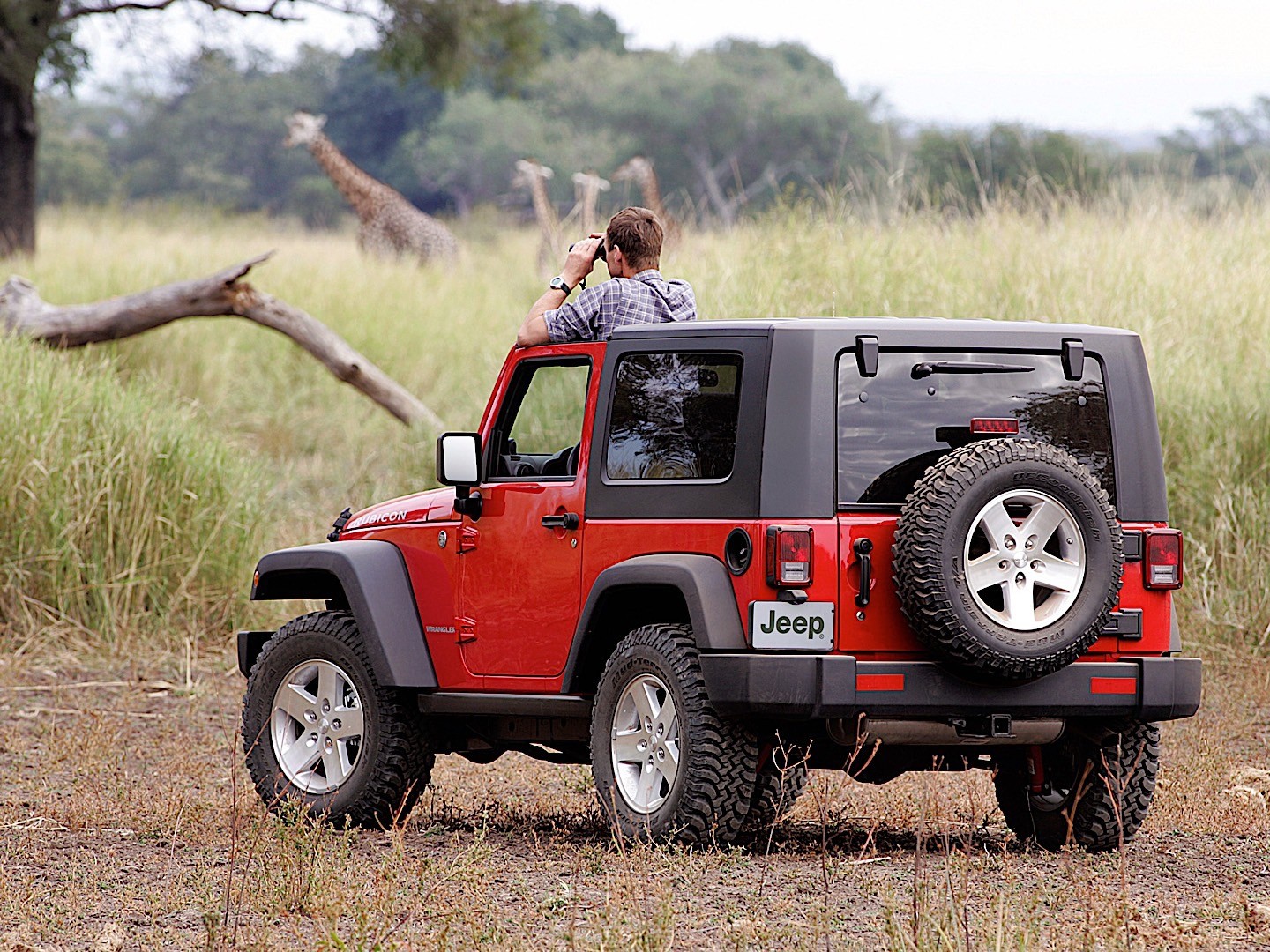 Jeep Wrangler photo 53