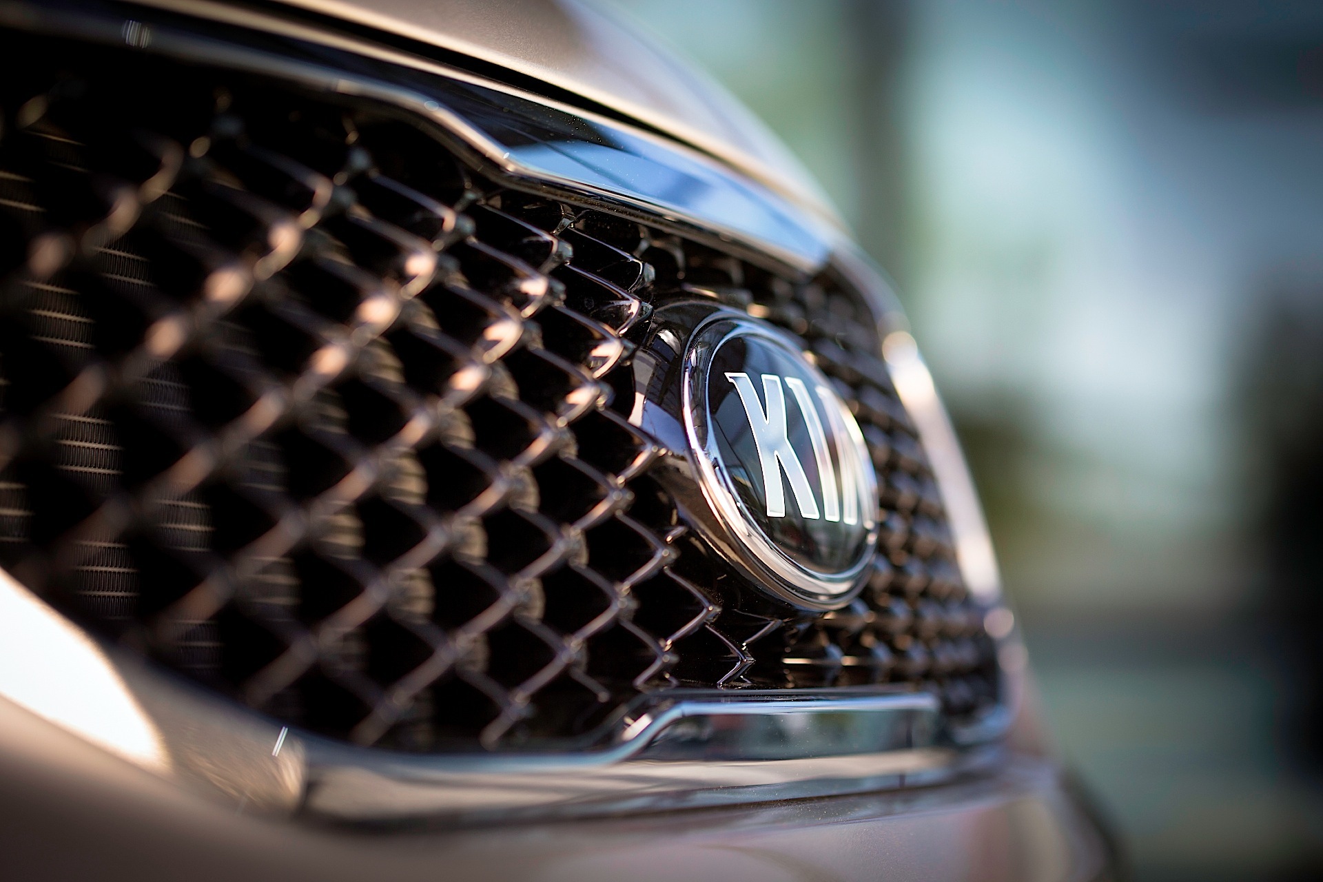 Kia Carnival / Sedona photo 6