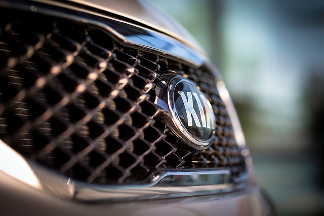 Kia Carnival / Sedona photo 4