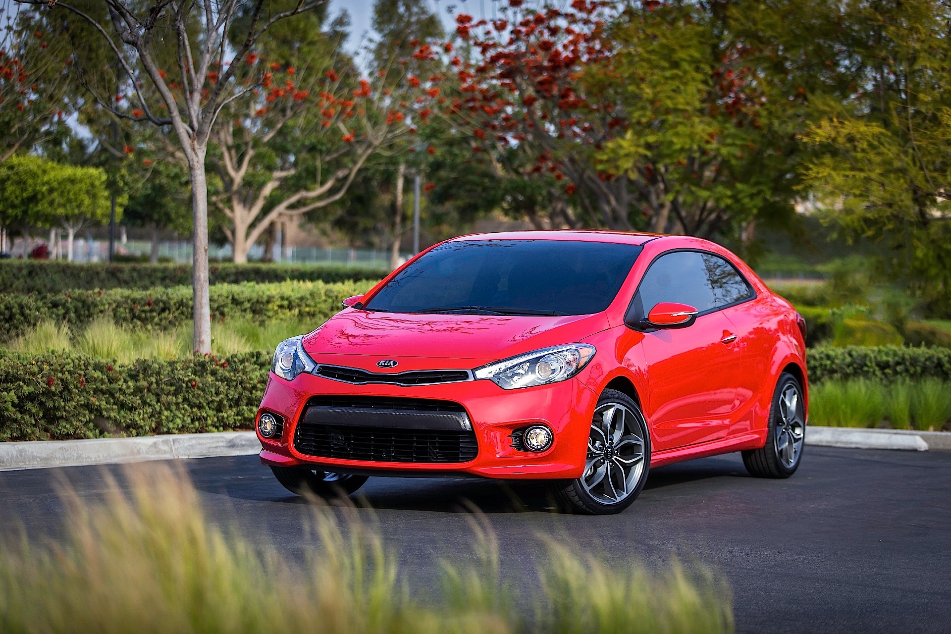 Kia Forte Koup photo 4
