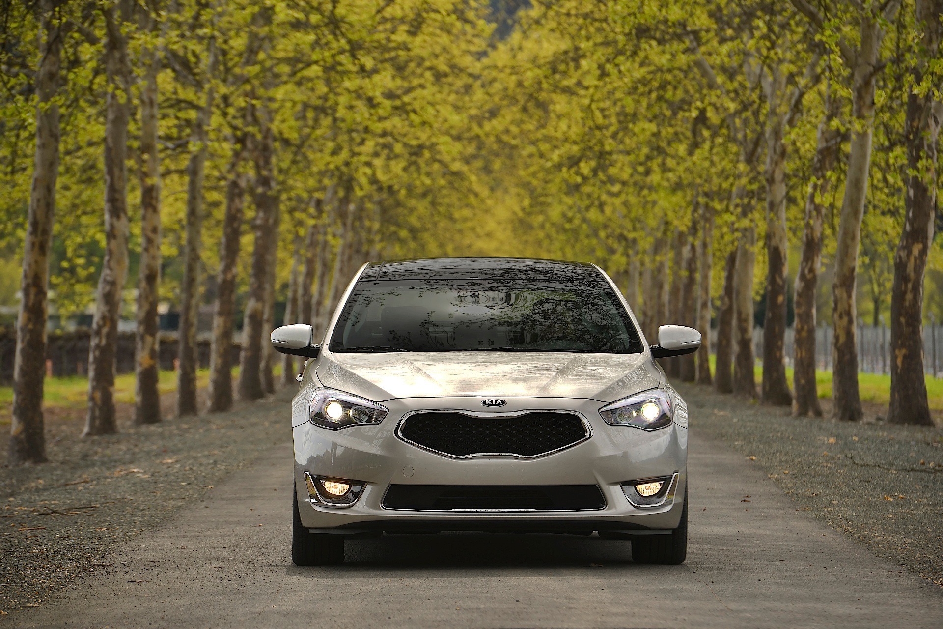 Kia K7 / Cadenza photo 11