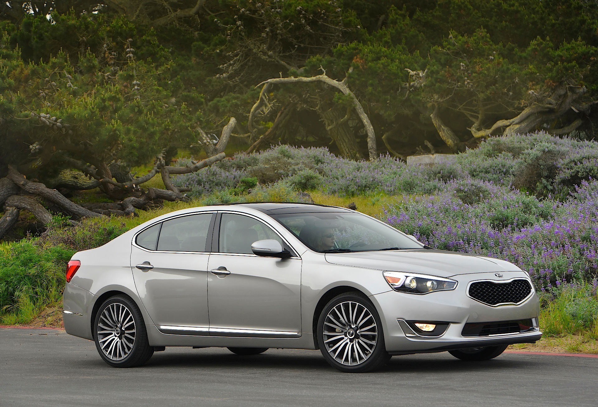 Kia K7 / Cadenza photo 15