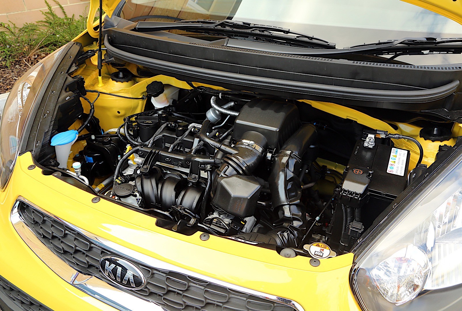 Kia Picanto photo 14