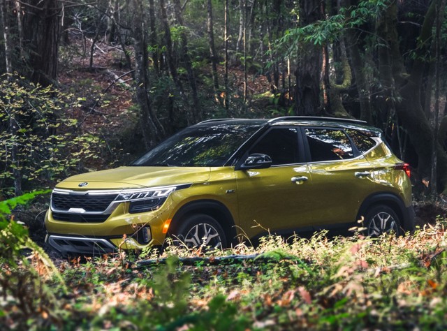 Kia Seltos photo 14