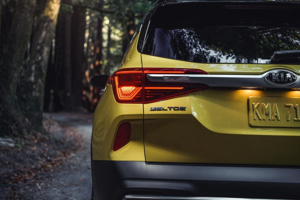 Kia Seltos photo 35