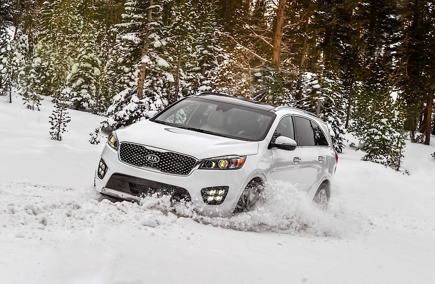 Kia Sorento photo 28