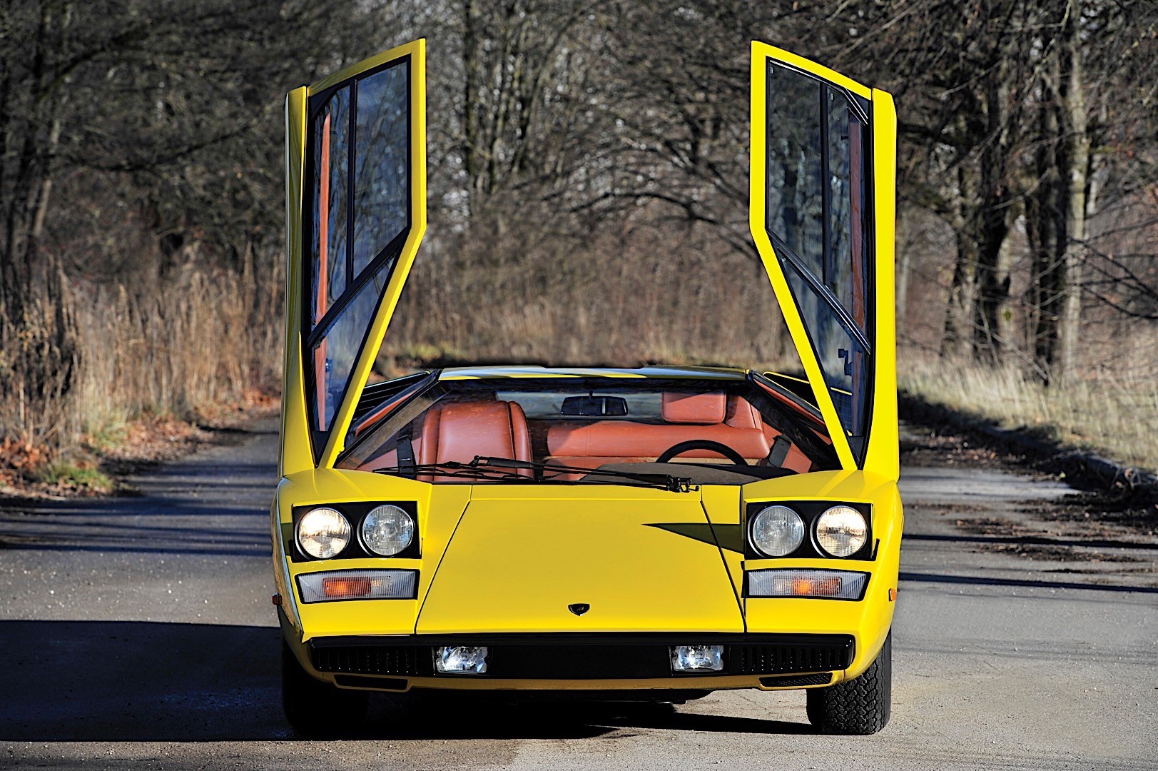Lamborghini Countach photo 17
