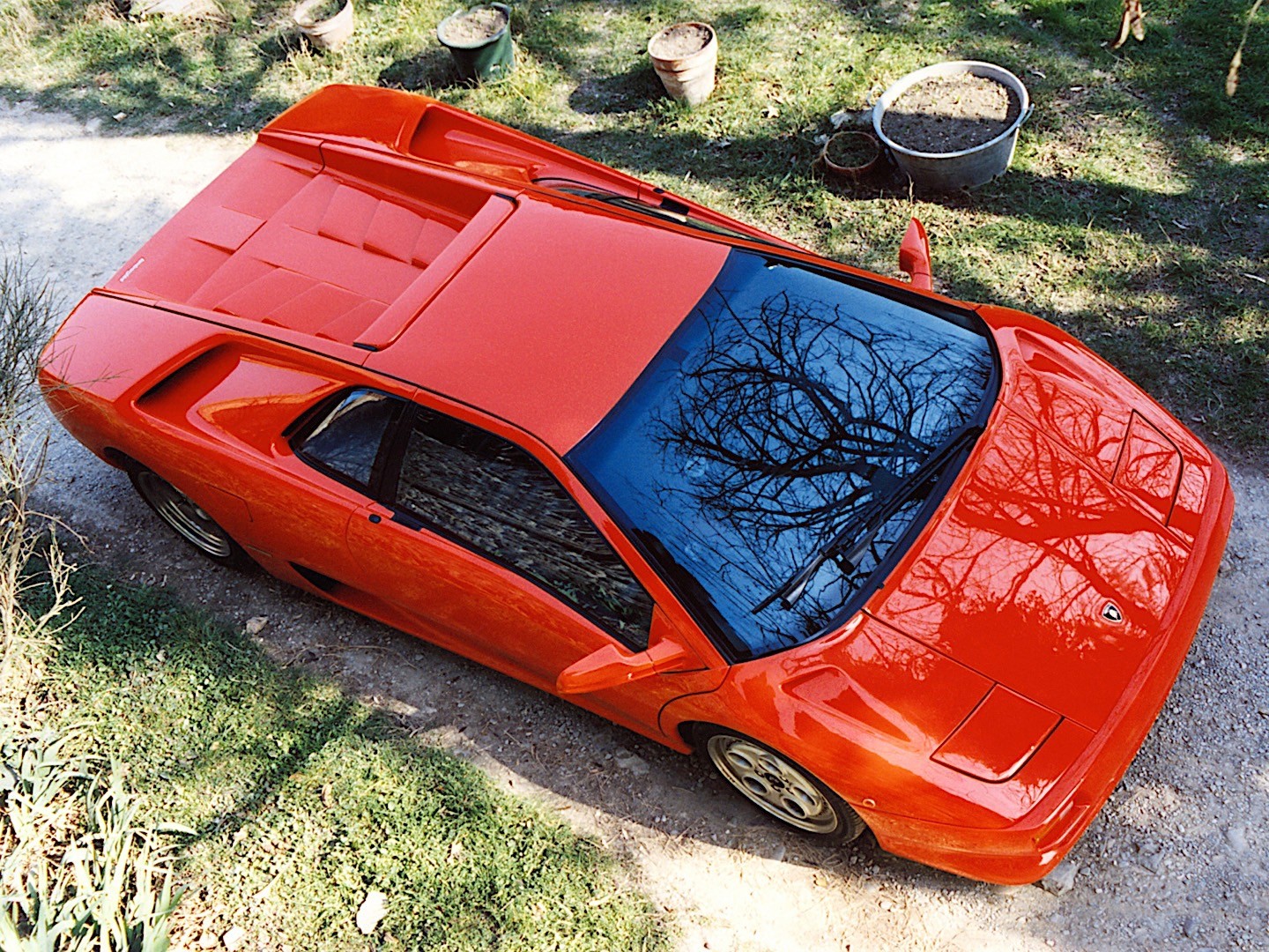 Lamborghini Diablo photo 19