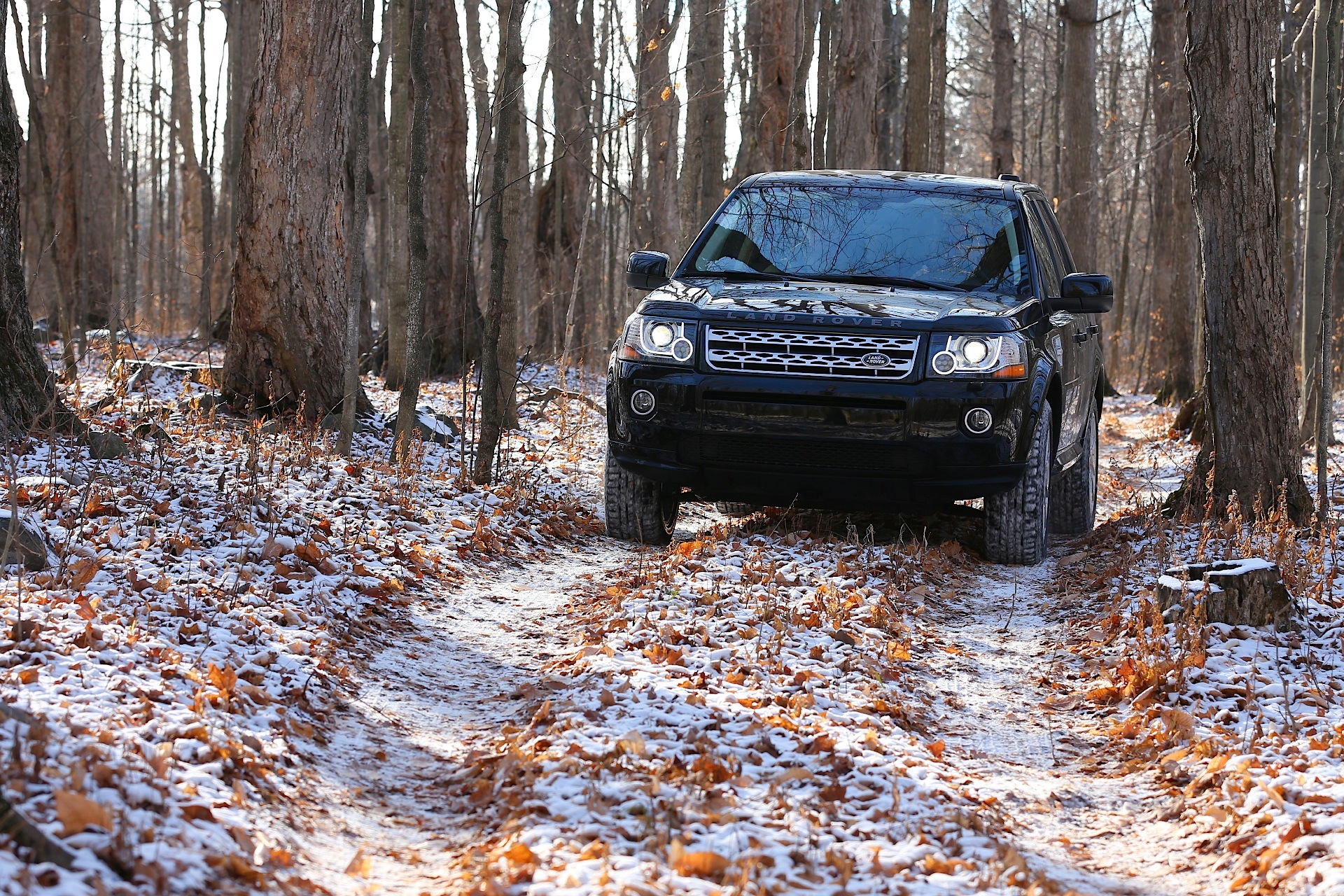 Land Rover Freelander photo 20