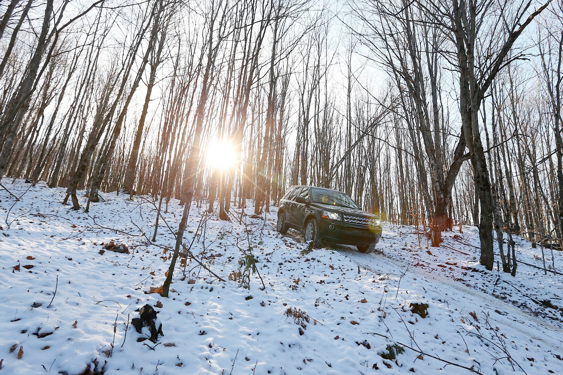 Land Rover Freelander photo 21