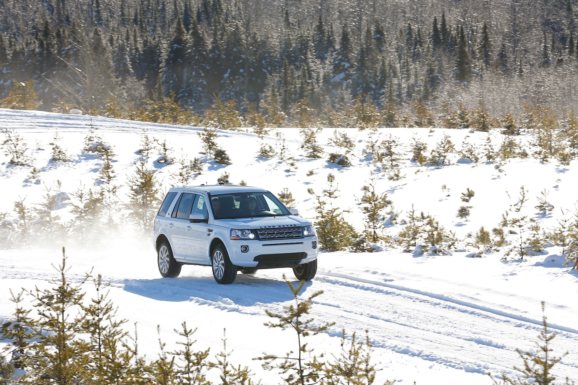 Land Rover Freelander photo 22