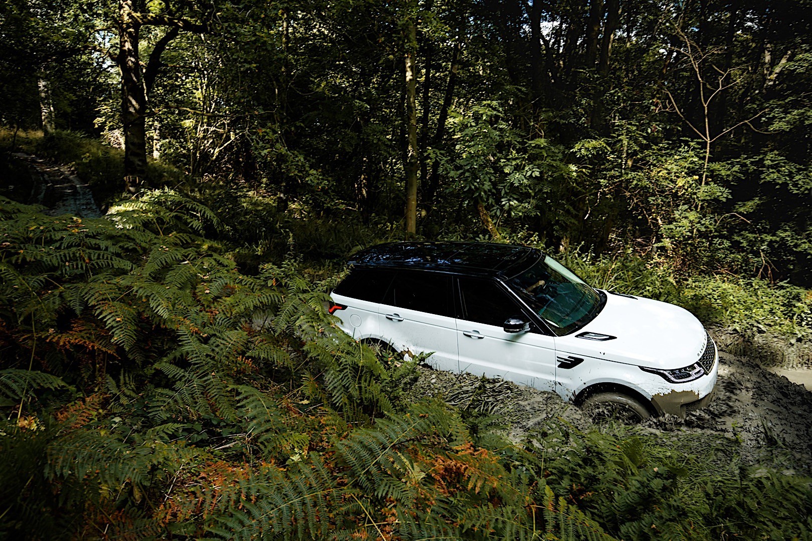 Land Rover Range Rover Sport Phev photo 7