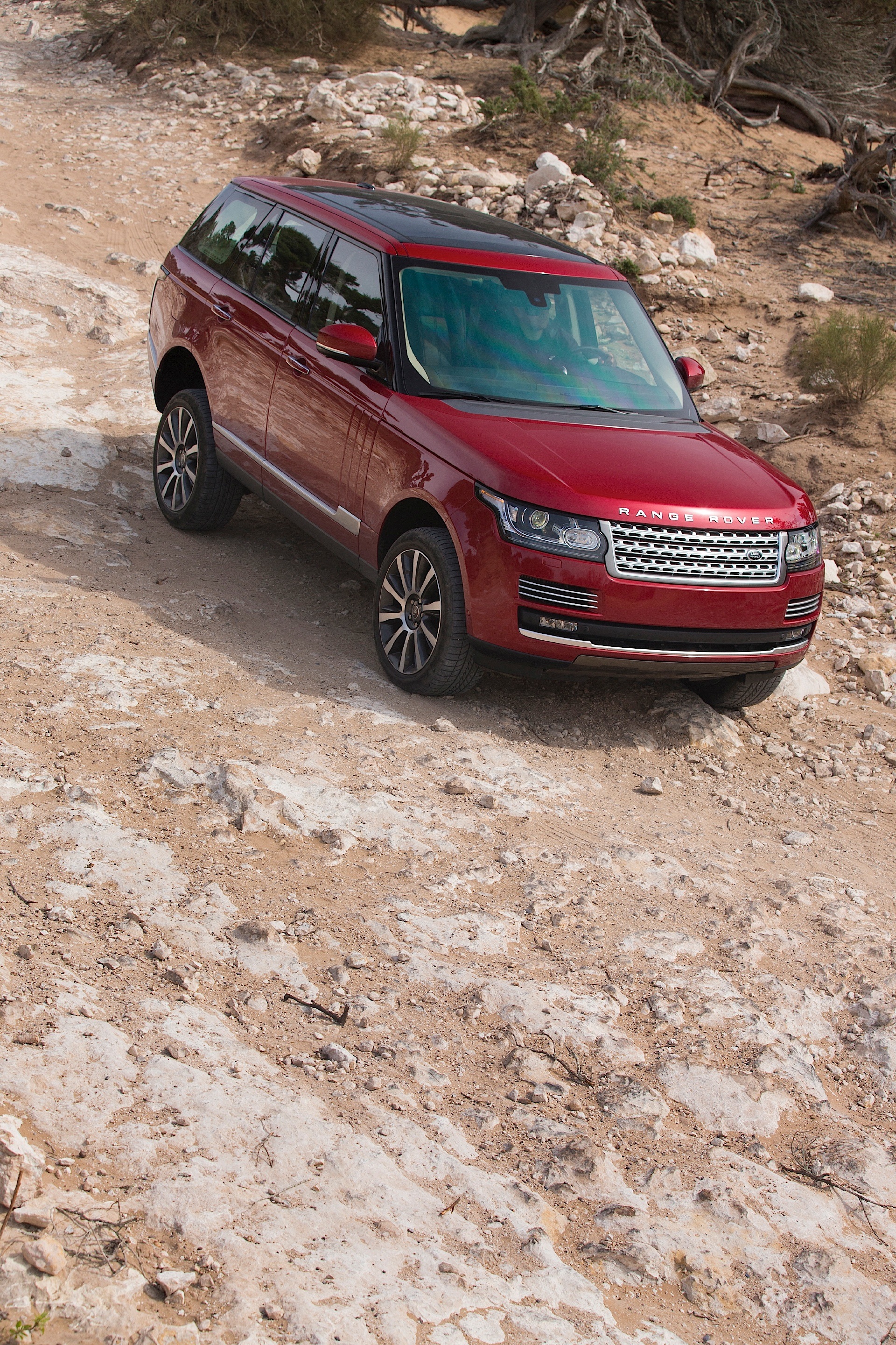 Land Rover Range Rover photo 81