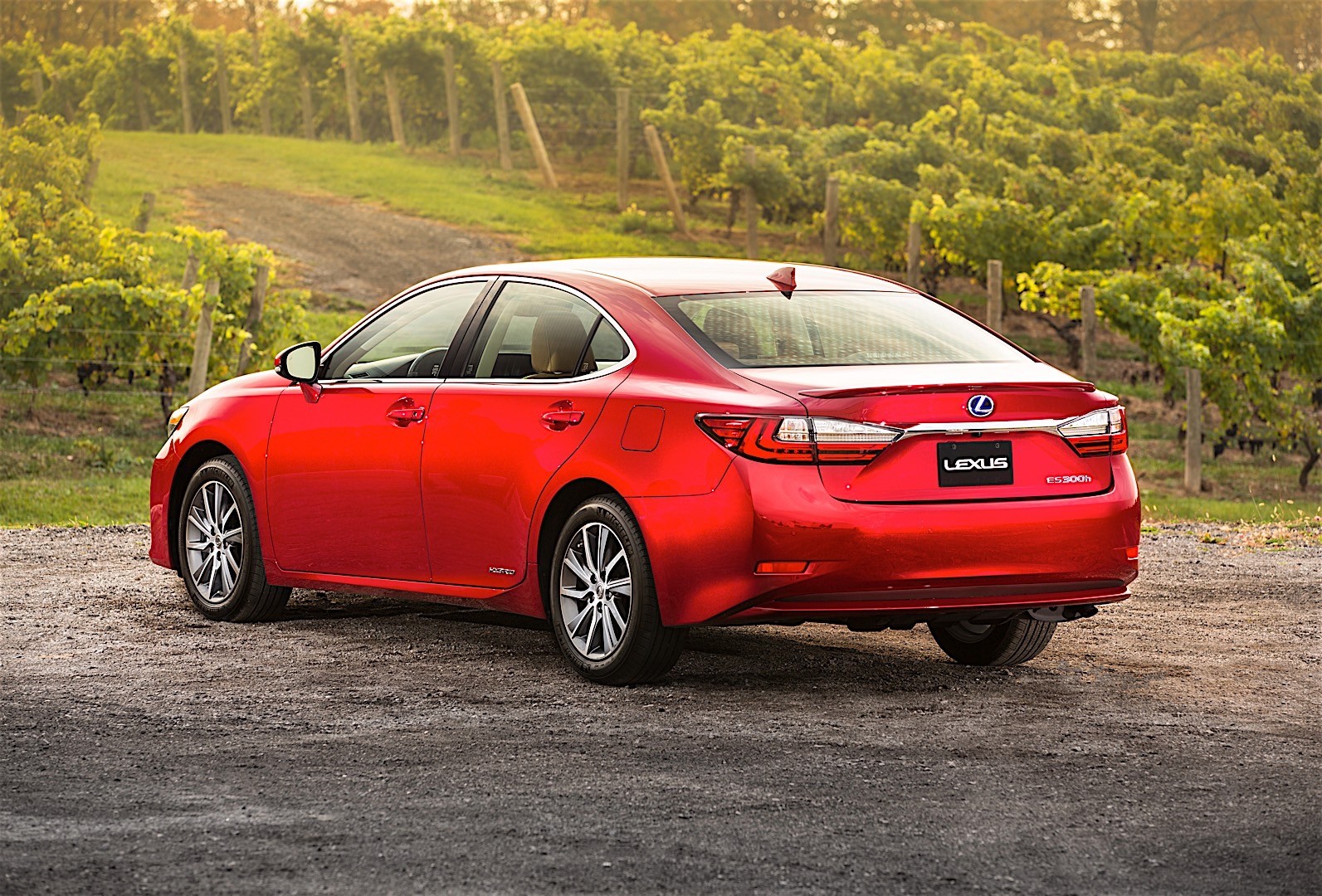 Lexus Es photo 43