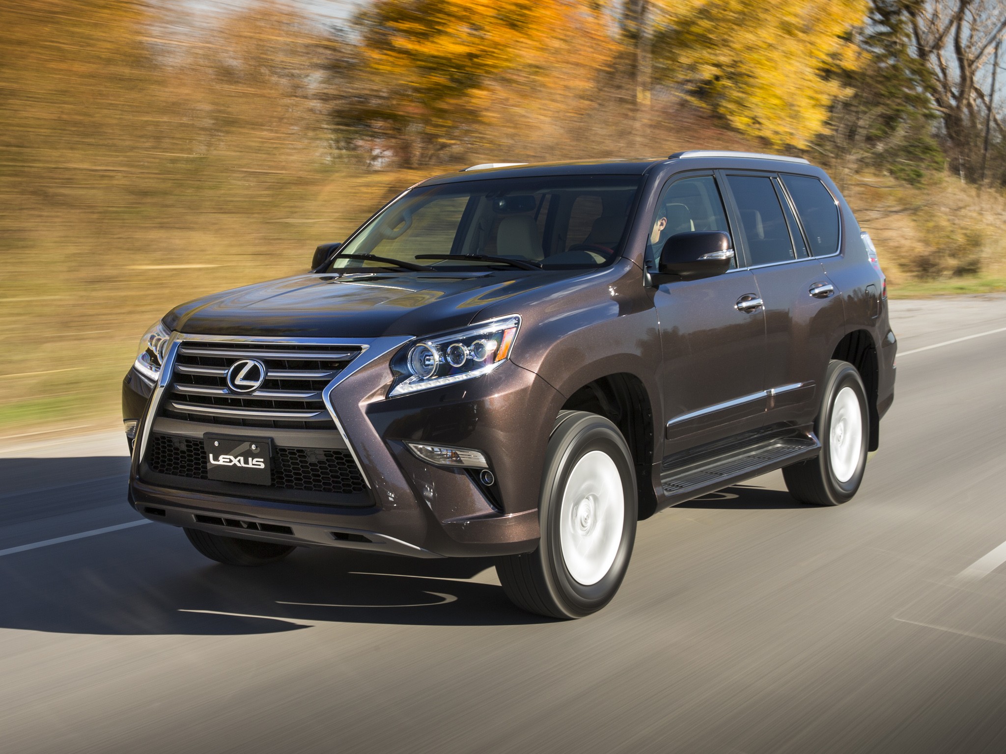 Lexus Gx photo 29