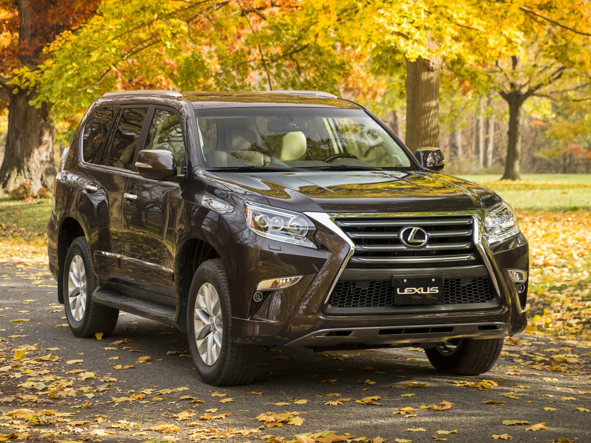 Lexus Gx photo 33