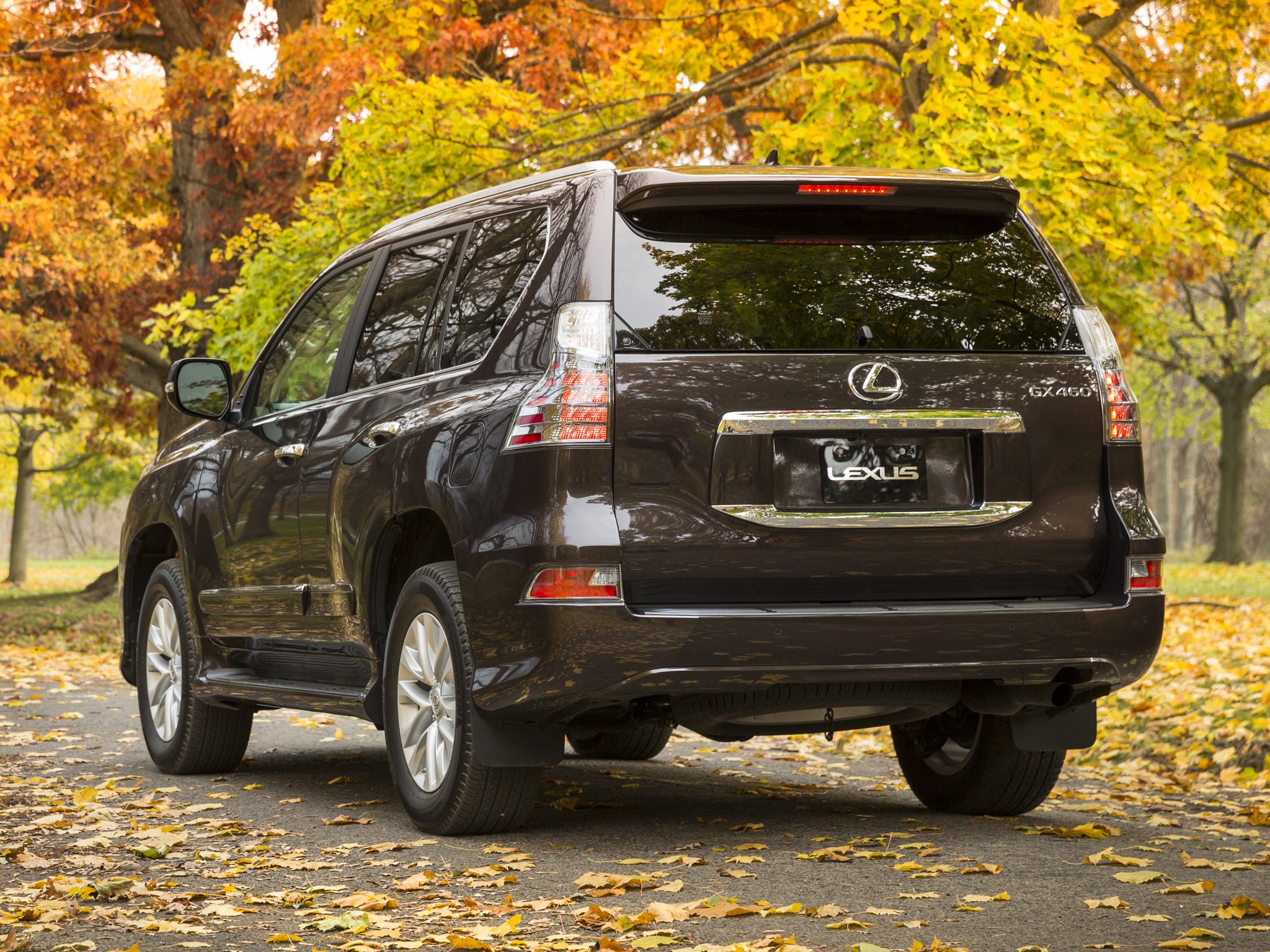 Lexus Gx photo 34