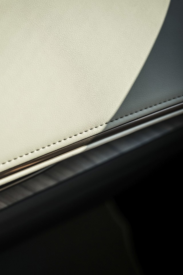 Lexus Lm photo 154
