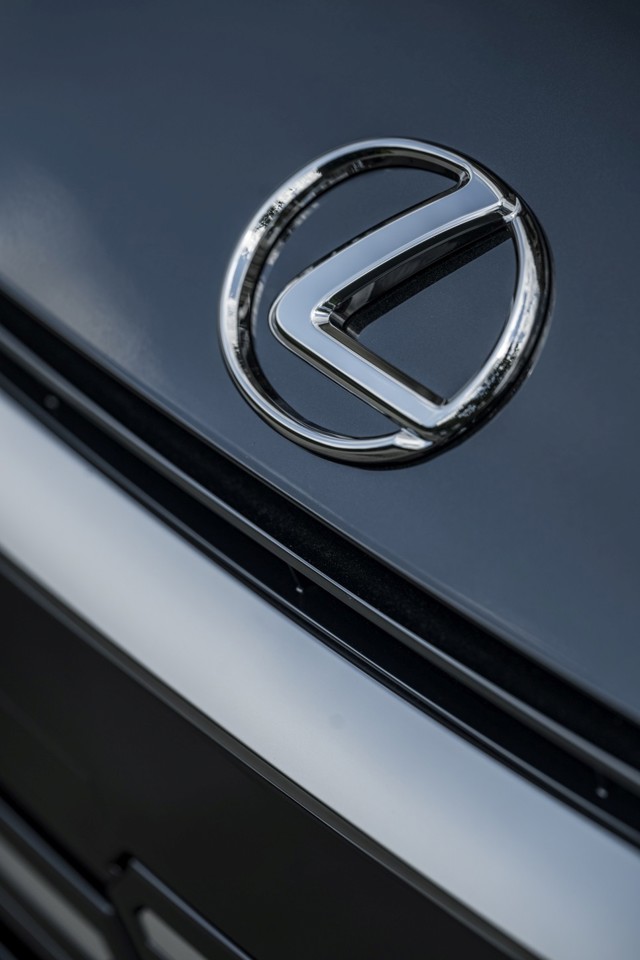 Lexus Lm photo 31