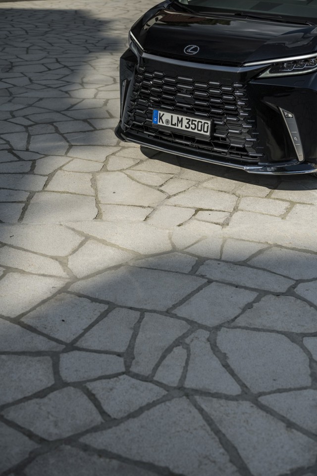 Lexus Lm photo 61