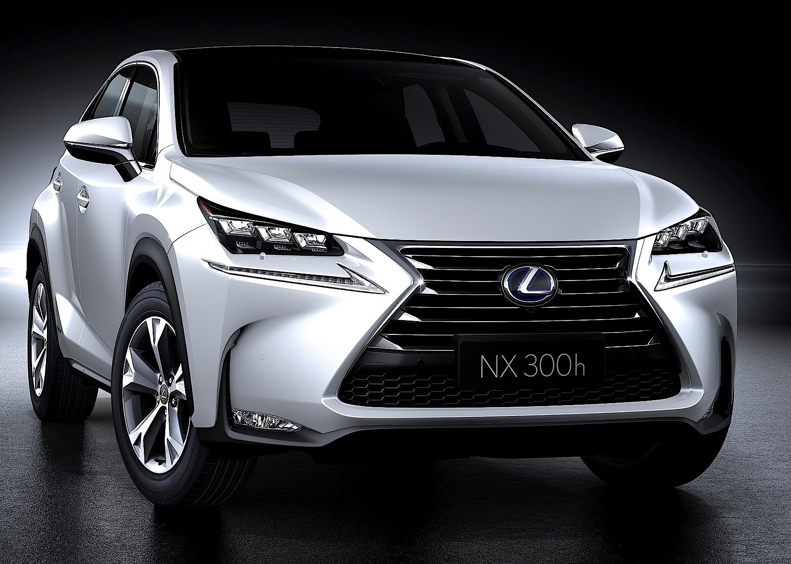 Lexus Nx photo 32