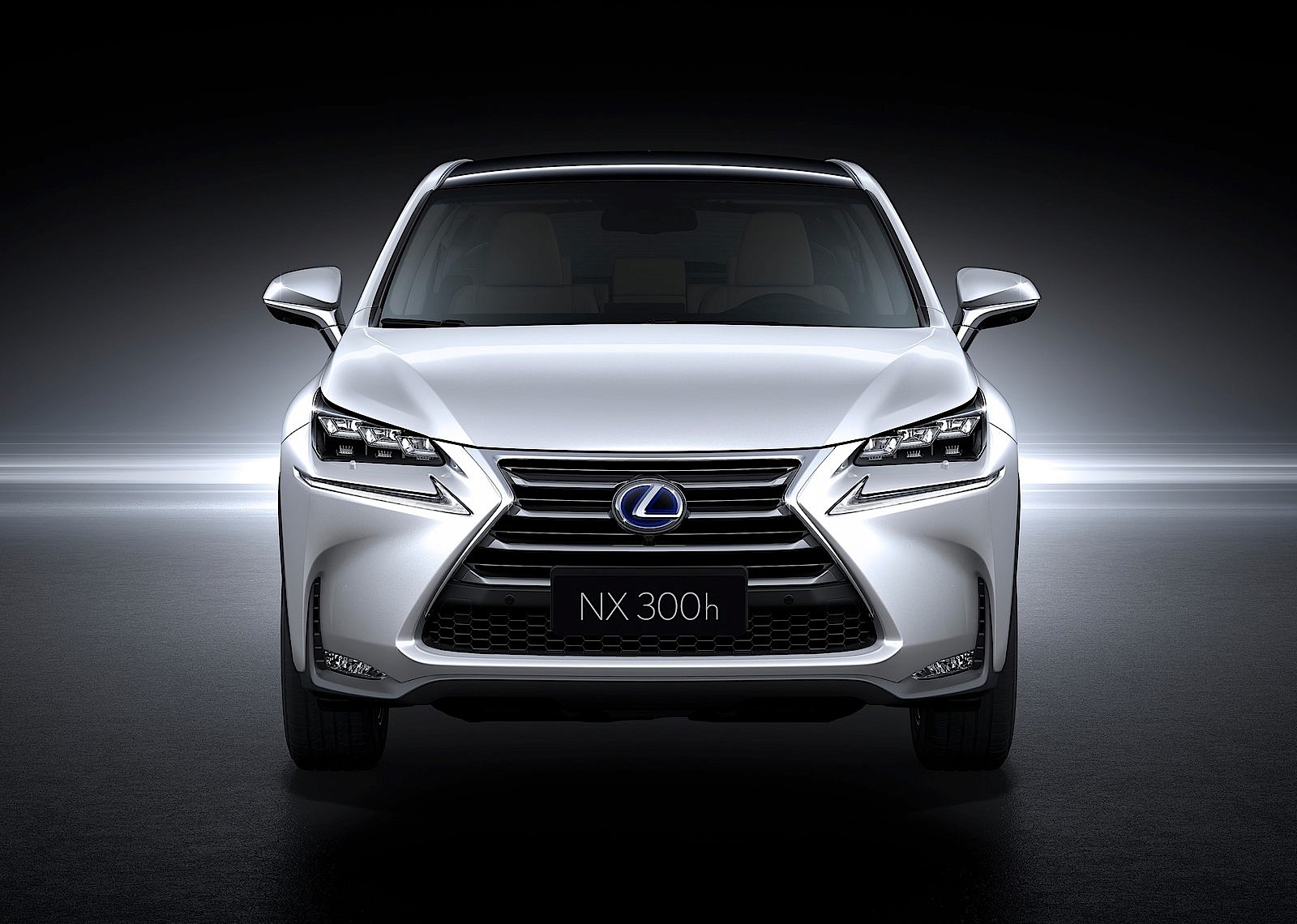 Lexus Nx photo 37