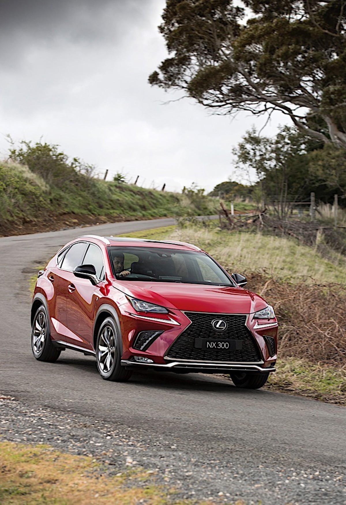 Lexus Lexus Nx