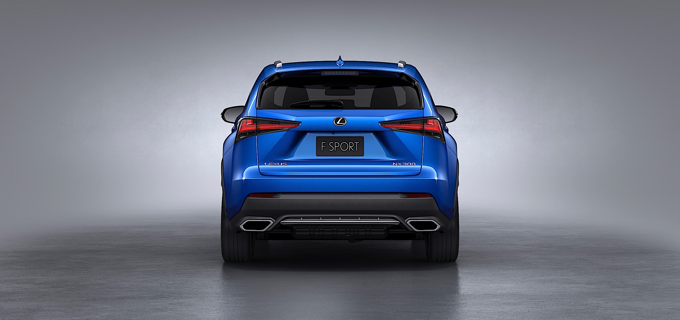 Lexus Nx photo 6
