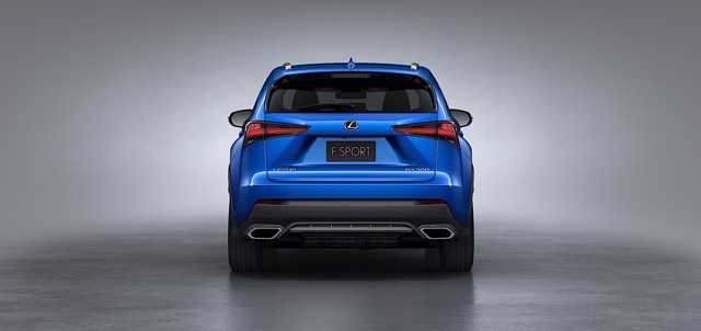 Lexus Nx photo 6