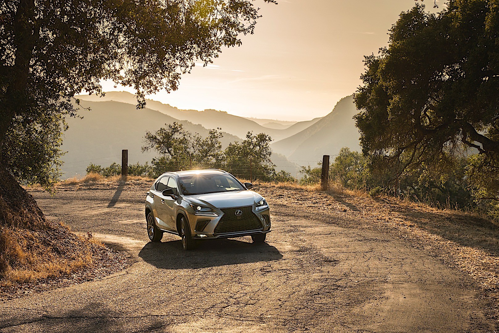 Lexus Nx photo 8