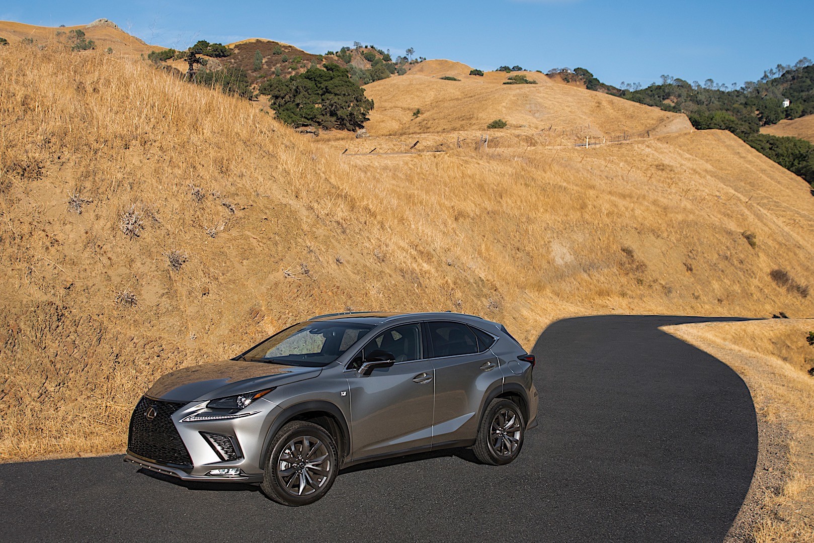 Lexus Nx photo 9