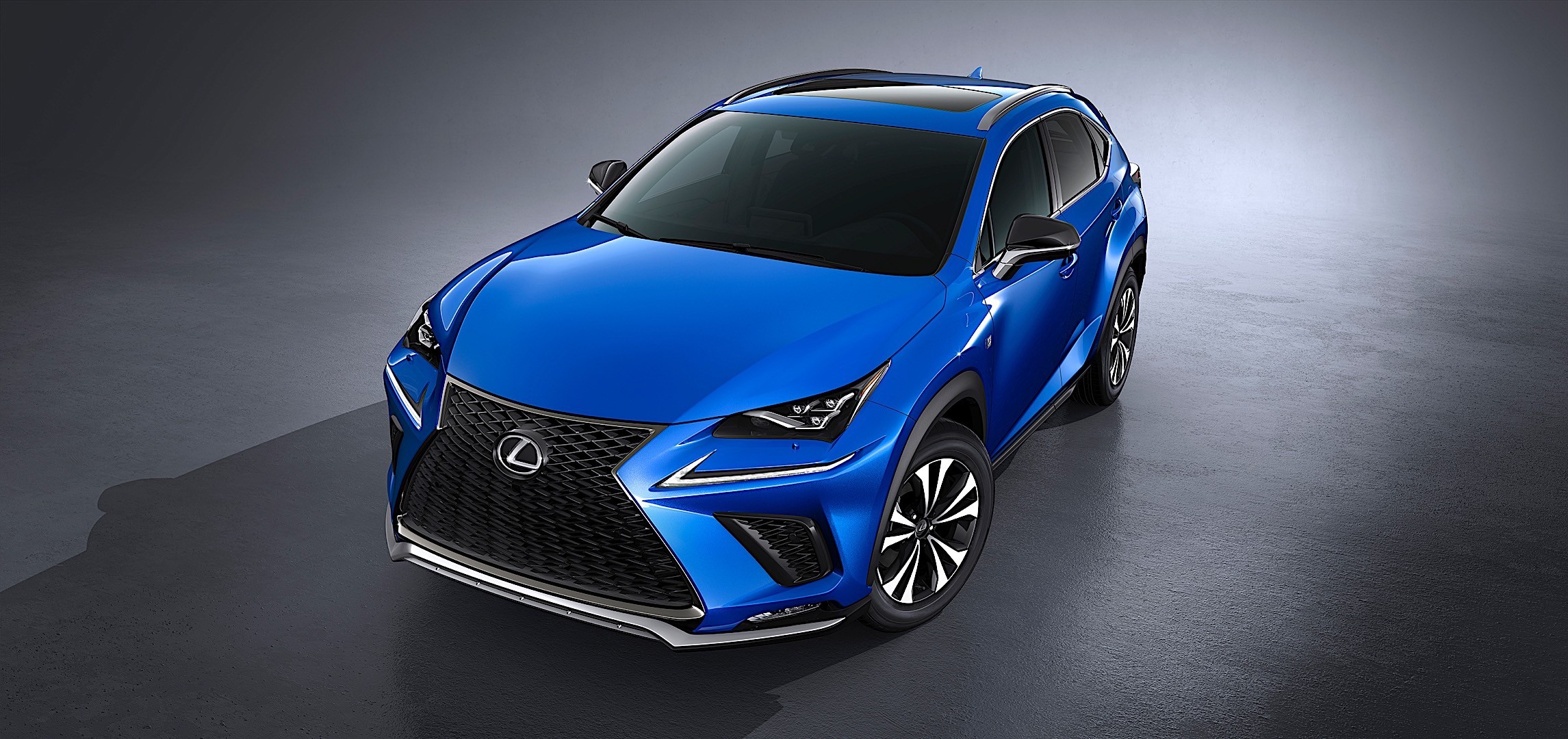 Lexus Nx photo 15