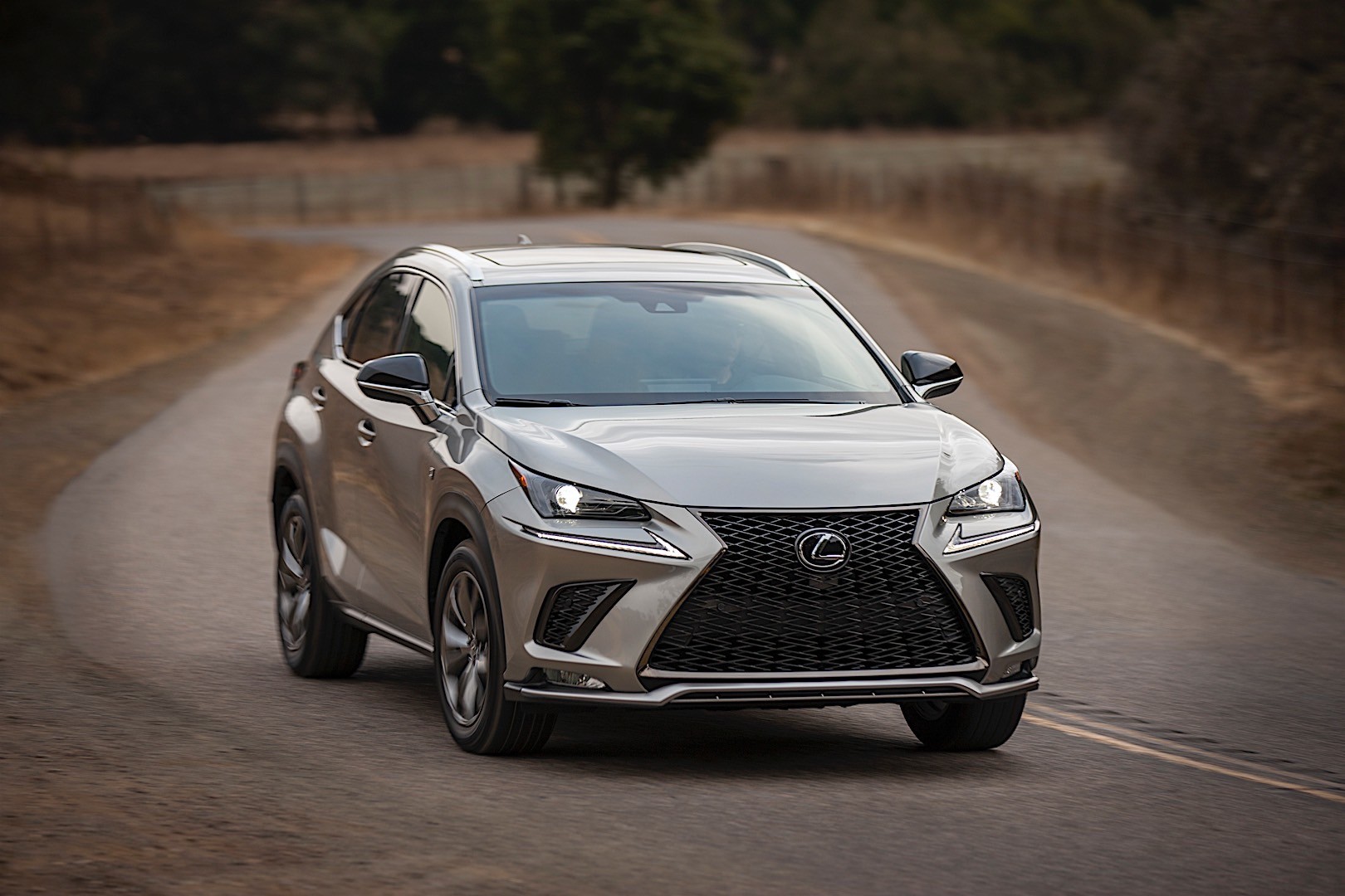 Lexus Nx photo 17