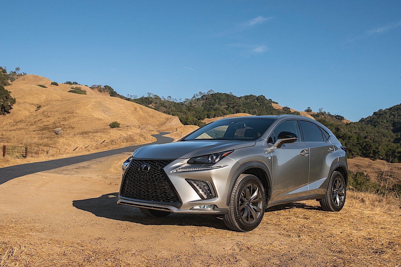 Lexus Nx photo 18