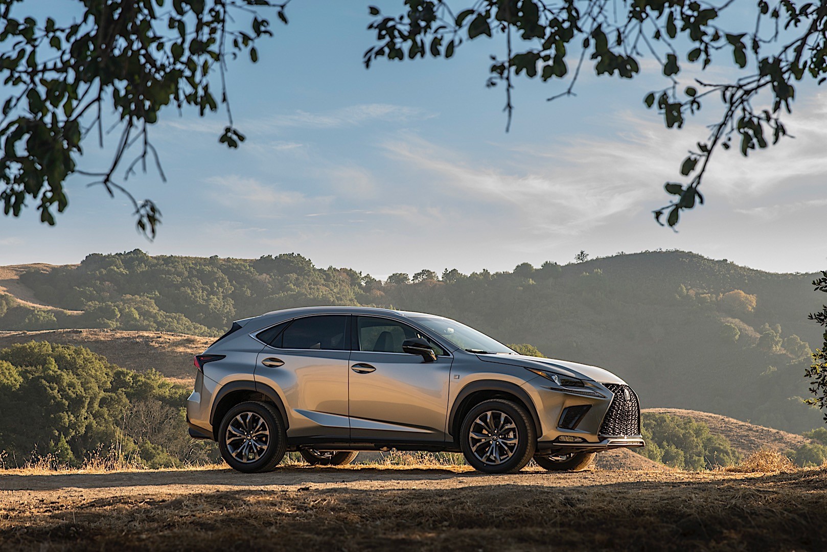 Lexus Nx photo 20