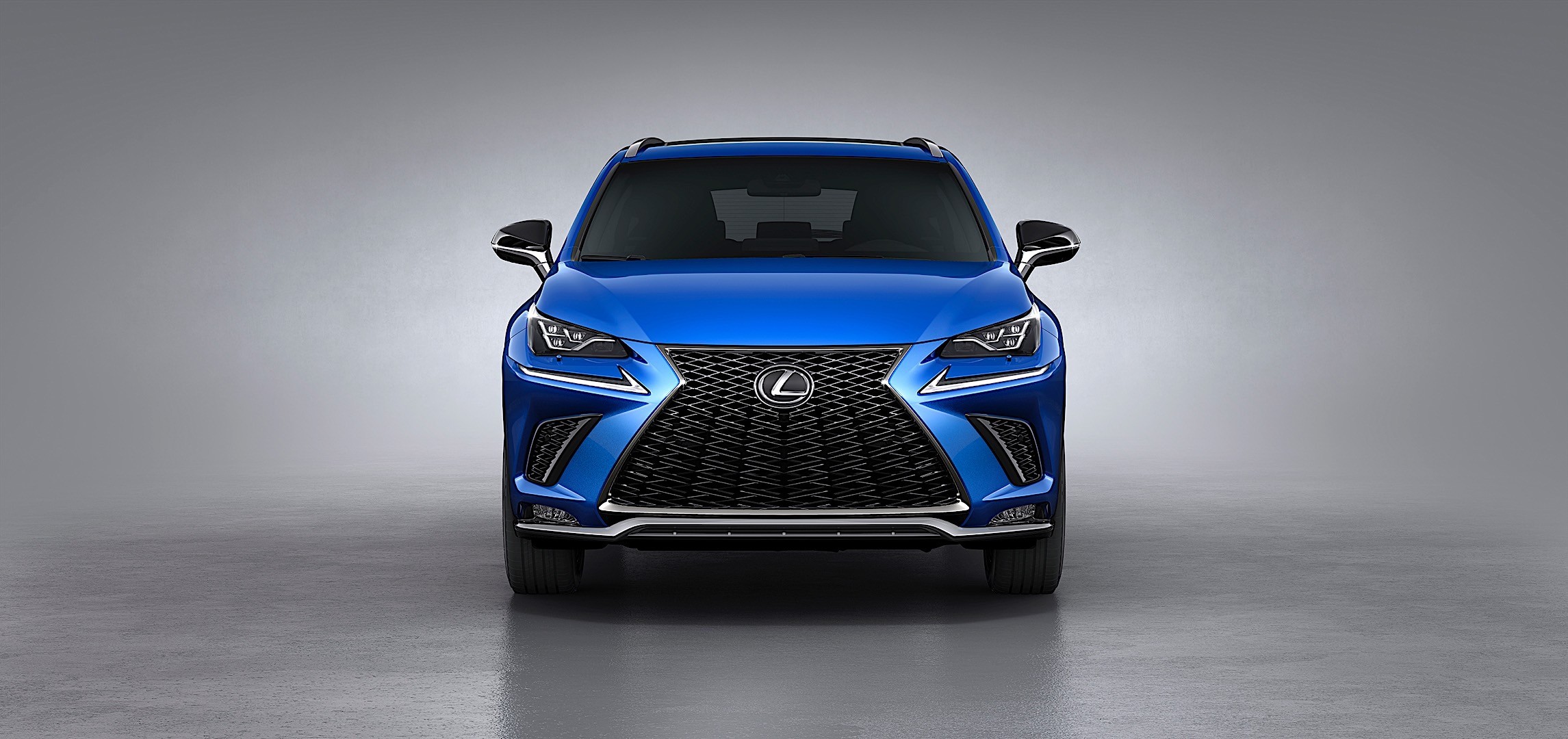 Lexus Nx photo 21