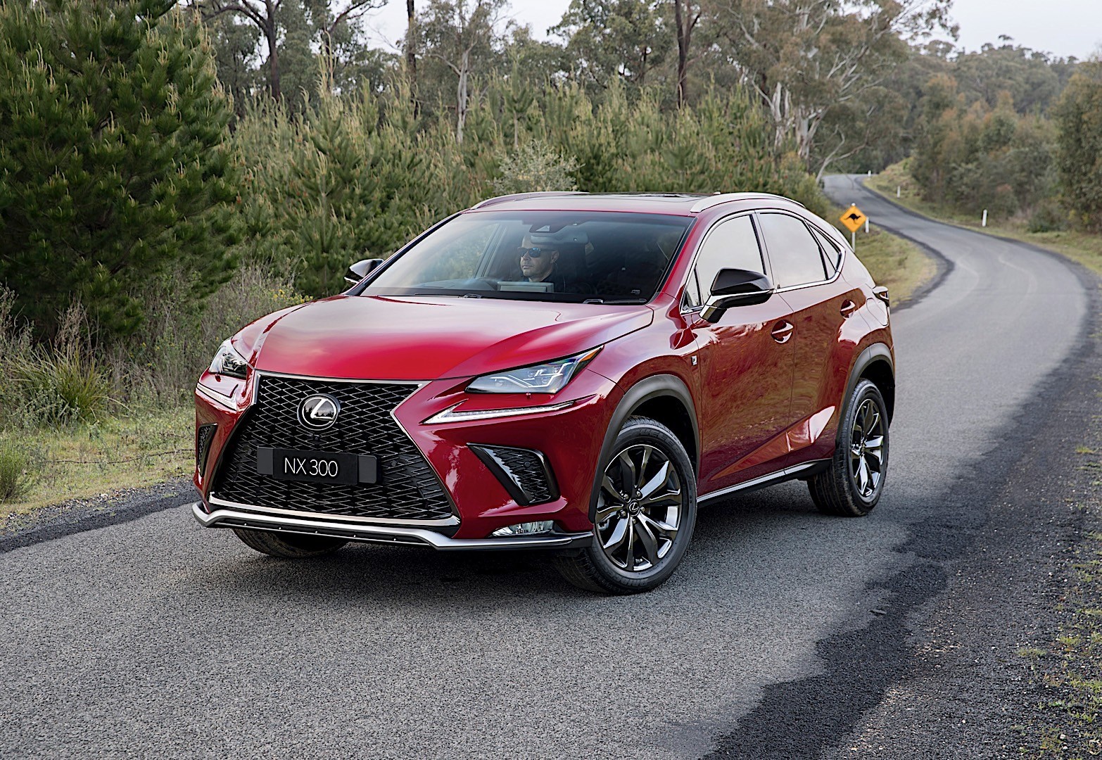 Lexus Nx photo 22