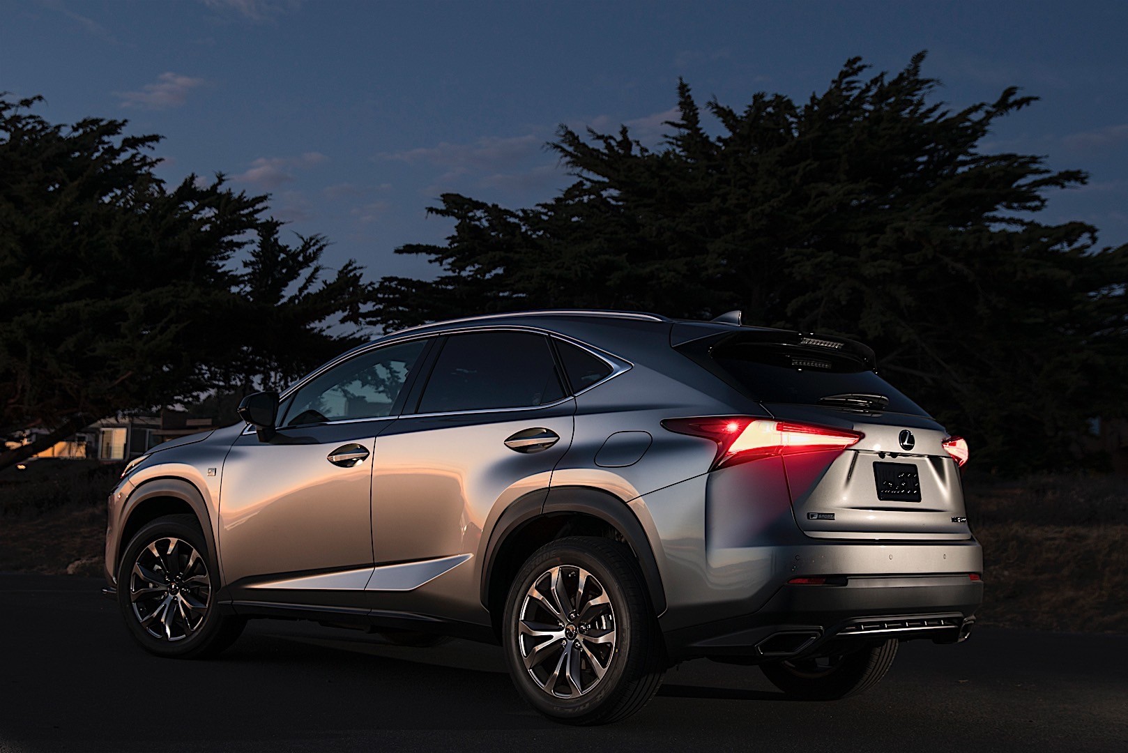 Lexus Nx photo 23