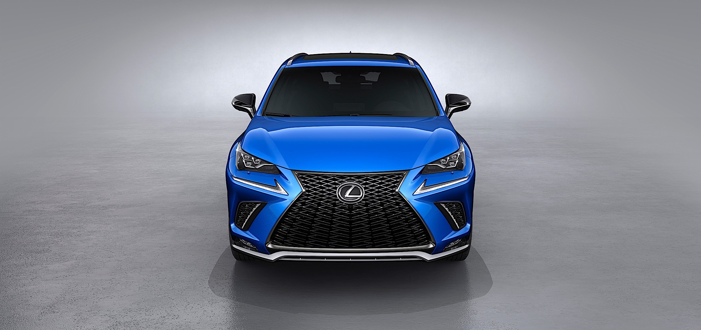 Lexus Nx photo 25