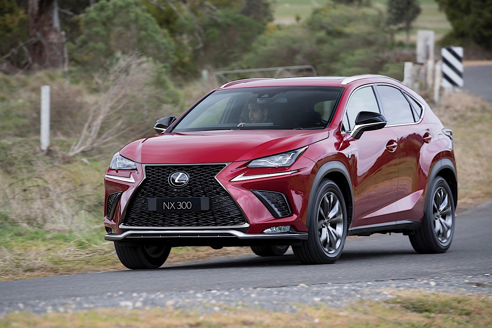 Lexus Nx photo 26
