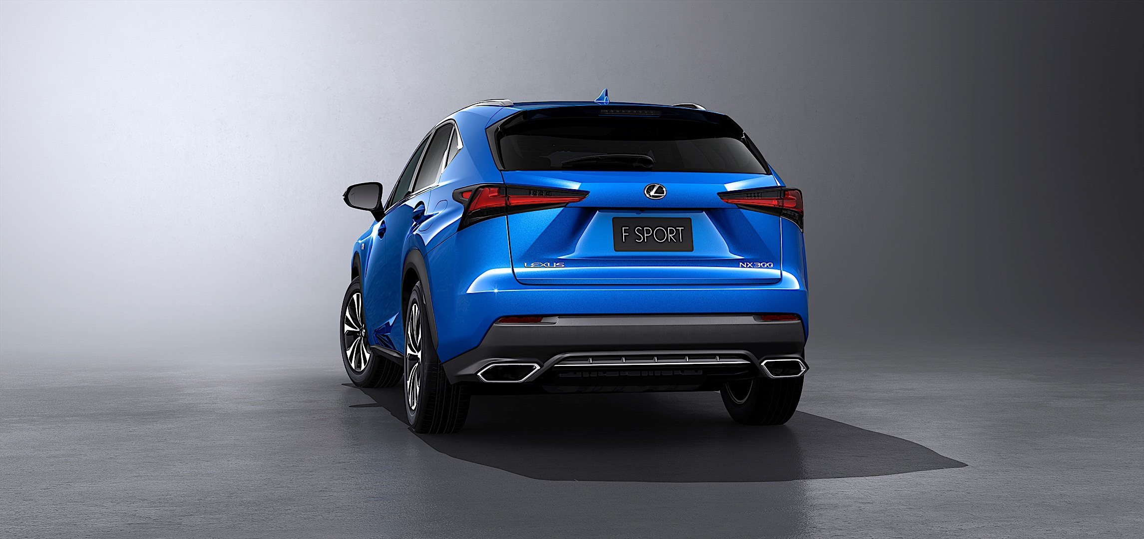 Lexus Nx photo 31