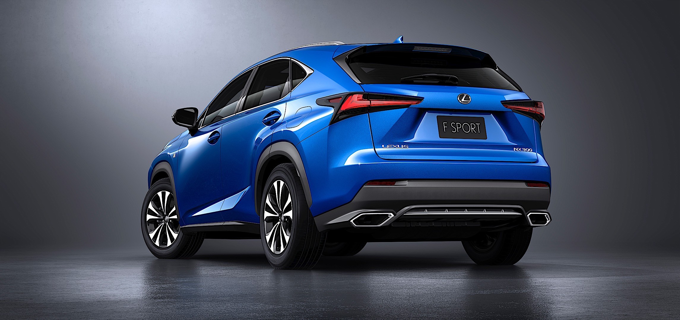 Lexus Nx photo 33