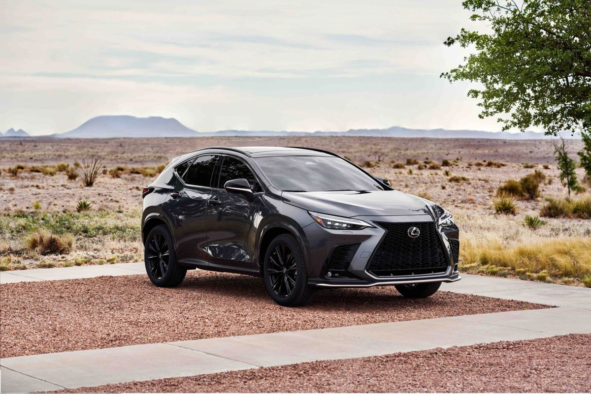 Lexus LEXUS NX 300 6AT (235 HP)