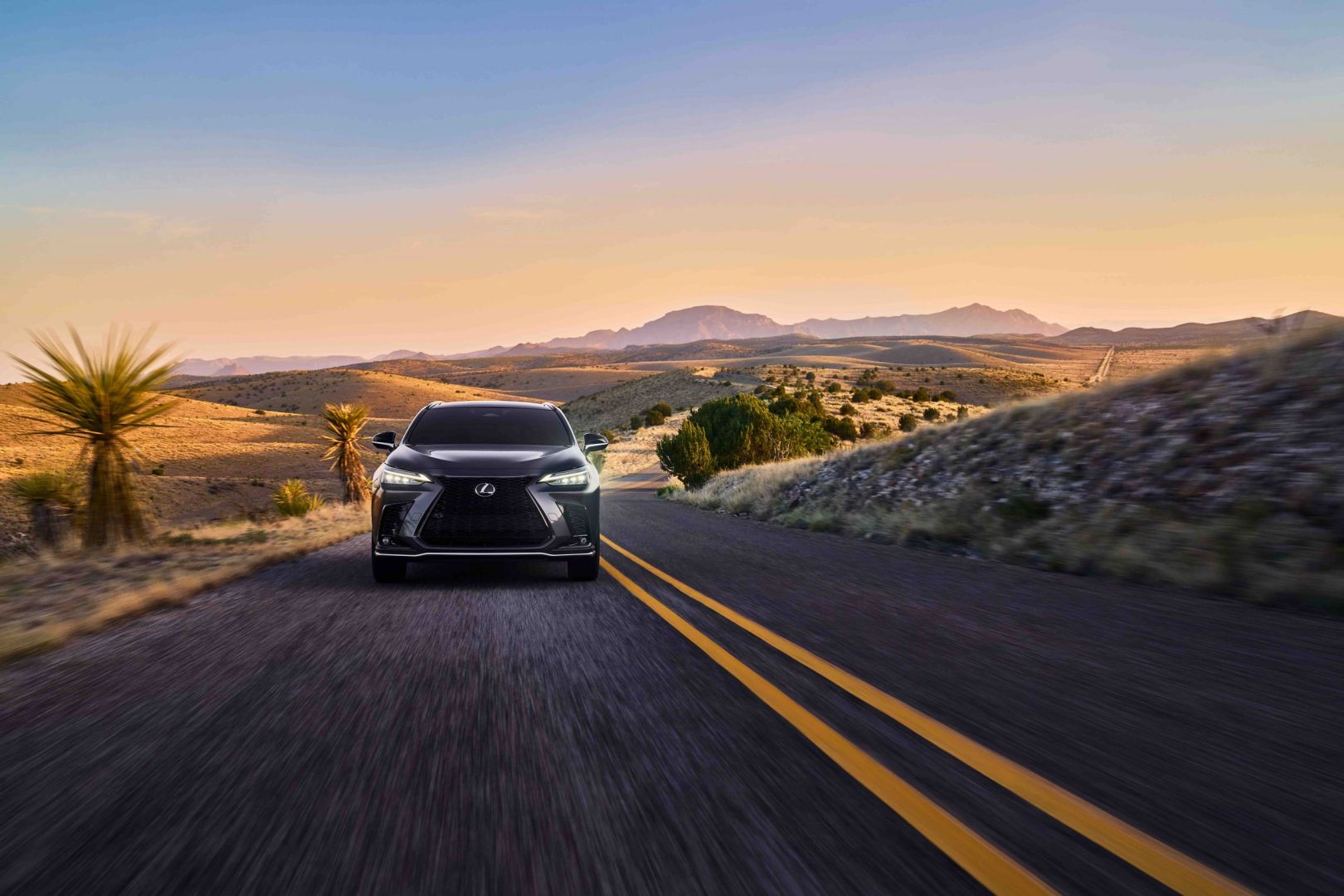 Lexus Nx photo 8