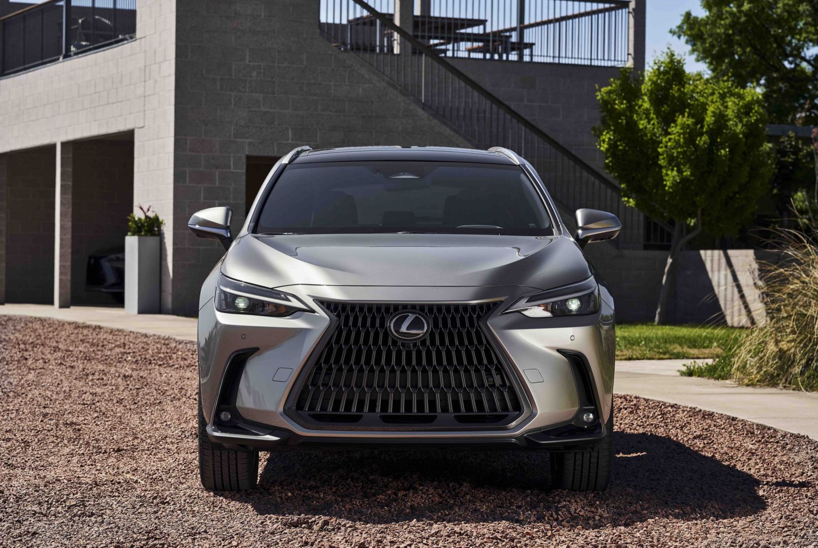 Lexus Nx photo 10