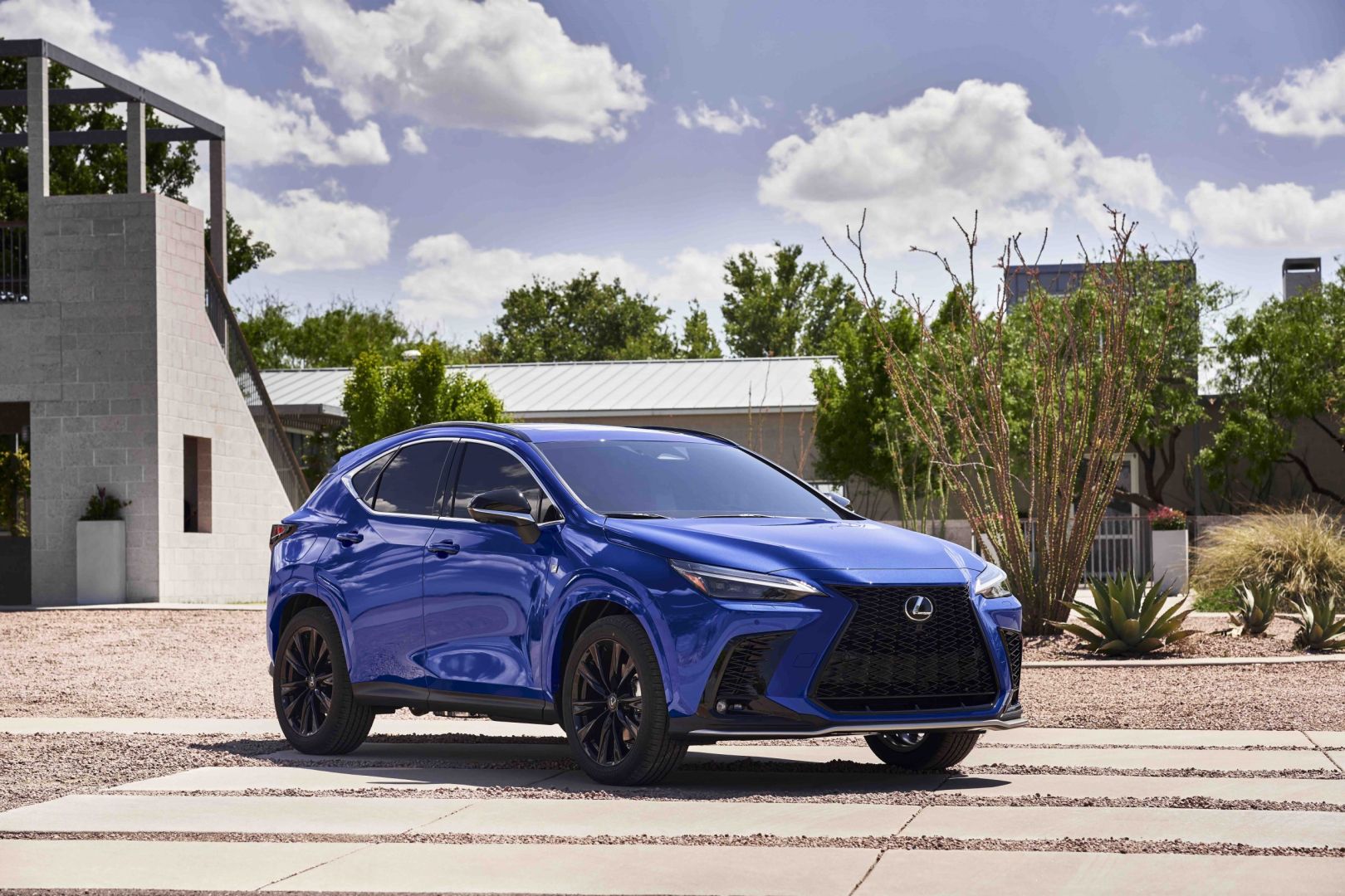 Lexus Nx photo 16