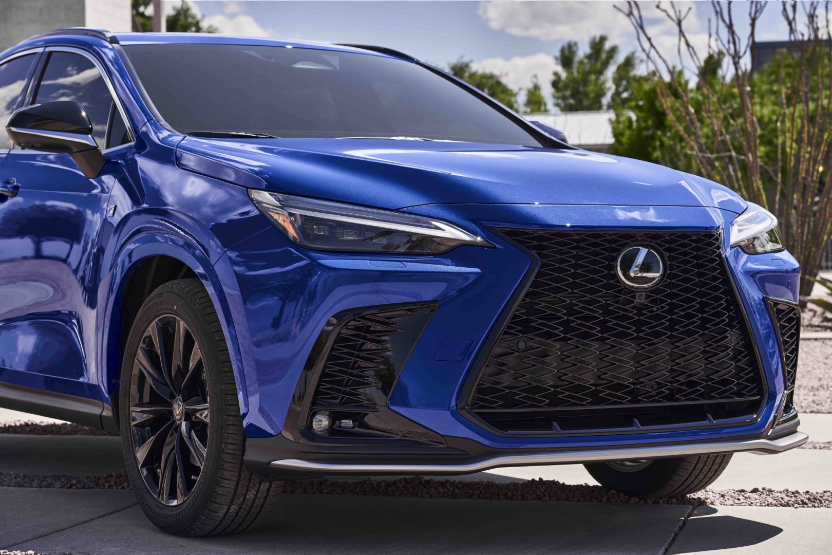 Lexus Nx photo 17
