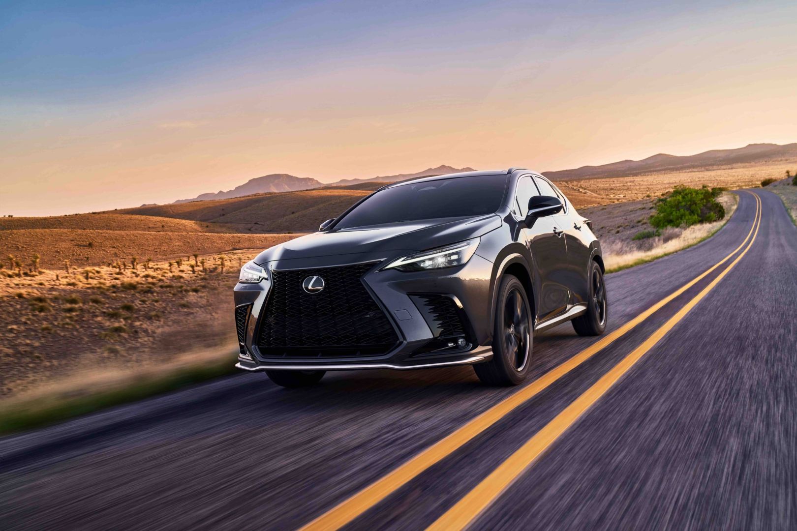 Lexus Nx photo 26